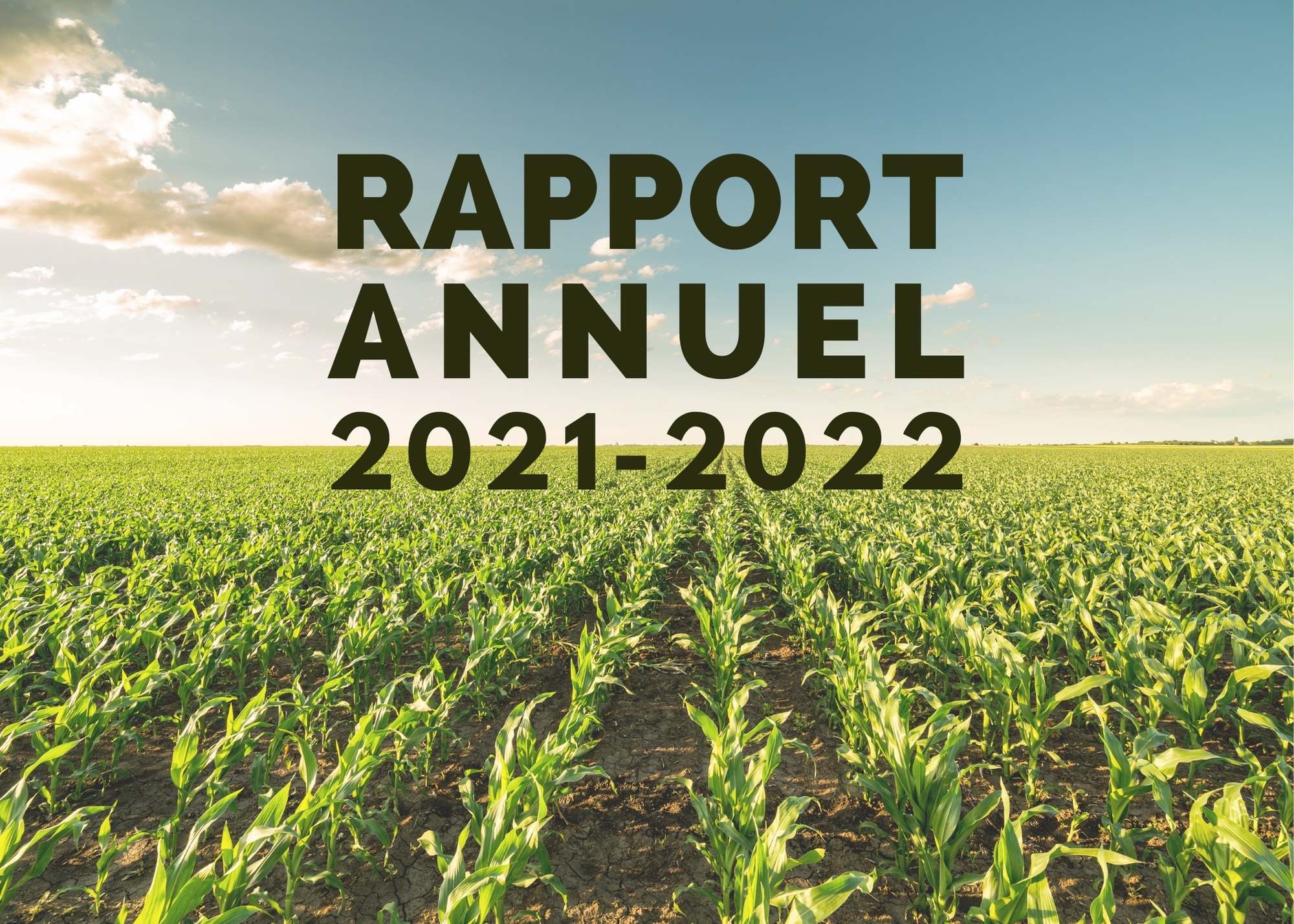 Inf. complémentaires : Rapport annuel 2021-2022
